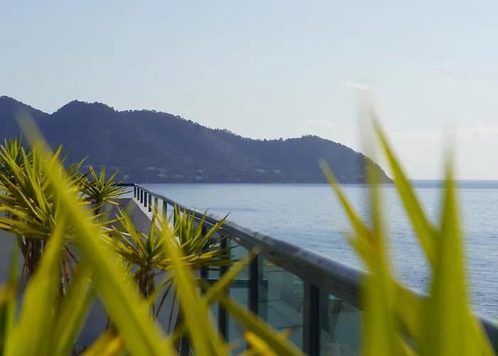 Marins - Adults Only